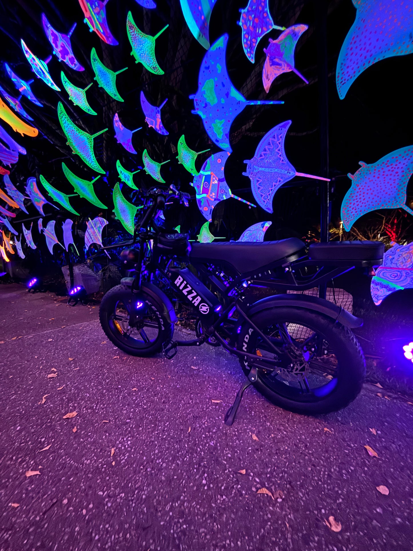 The Rizza - Fat Tyre E Bike