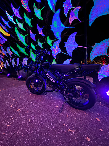The Rizza - Fat Tyre E Bike