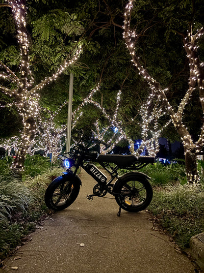 The Rizza - Fat Tyre E Bike