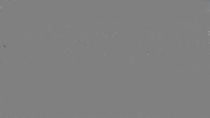 The Rizza - Fat Tyre E Bike